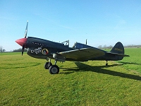 The P-40 'Little Kitty' in pristine February sunlight