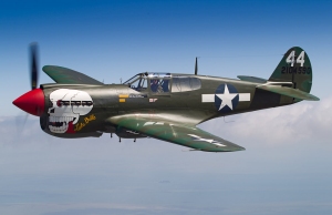 The P-40 wearing the nose art of Lt. R Adair's Lulu Belle as she appears today