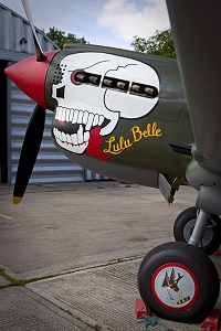 The P-40's new nose art, the skull is the unit marking of the 89th Fighter Squadron