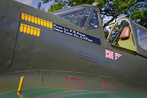 The mission and victory markings of Lt. Adair